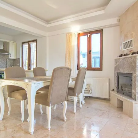 Elena Villa *