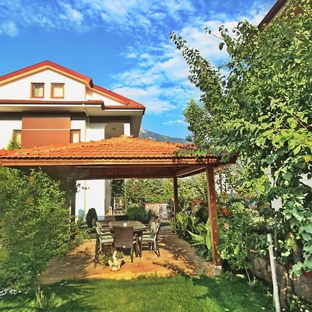 Elena Villa Cedit