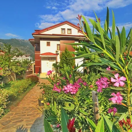 Elena Villa