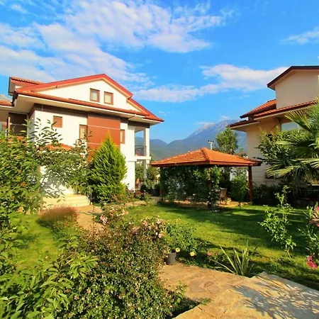 Elena Villa *