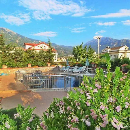 Elena Villa Cedit