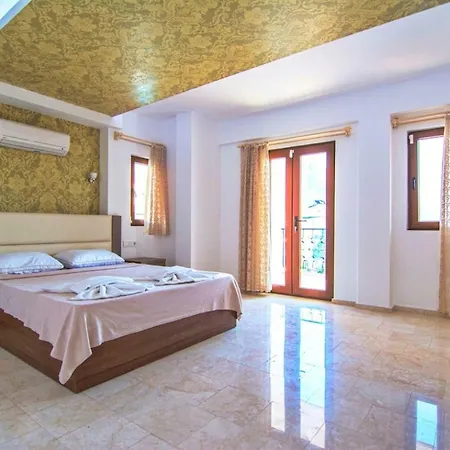 Elena Villa *